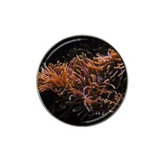 Sea Anemone Coral Underwater Ocean Sea Water Hat Clip Ball Marker by Wegoenart