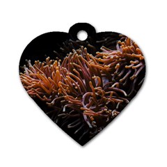 Sea Anemone Coral Underwater Ocean Sea Water Dog Tag Heart (one Side) by Wegoenart