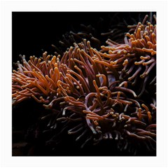 Sea Anemone Coral Underwater Ocean Sea Water Medium Glasses Cloth by Wegoenart