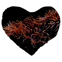 Sea Anemone Coral Underwater Ocean Sea Water Large 19  Premium Flano Heart Shape Cushions by Wegoenart