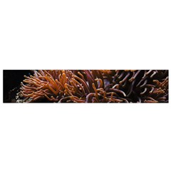 Sea Anemone Coral Underwater Ocean Sea Water Small Premium Plush Fleece Scarf by Wegoenart