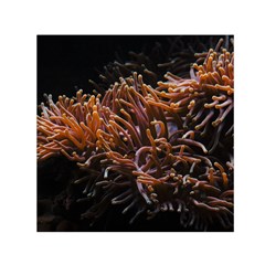 Sea Anemone Coral Underwater Ocean Sea Water Square Satin Scarf (30  x 30 )