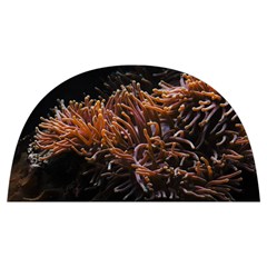 Sea Anemone Coral Underwater Ocean Sea Water Anti Scalding Pot Cap by Wegoenart