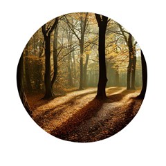 Autumn Nature Woodland Woods Trees Mini Round Pill Box (pack Of 5)