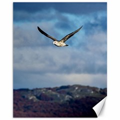 Sea Bird Flying Over Cloudy Sky Canvas 11  X 14 