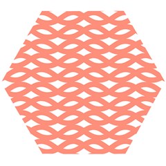 Lattice Iv Wooden Puzzle Hexagon