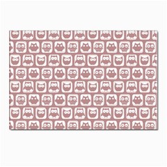 Light Pink And White Owl Pattern Postcard 4 x 6  (pkg Of 10) by GardenOfOphir