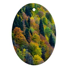 Forest Trees Leaves Fall Autumn Nature Sunshine Oval Ornament (two Sides) by Ravend