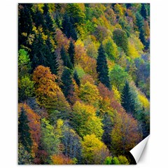 Forest Trees Leaves Fall Autumn Nature Sunshine Canvas 16  X 20  by Ravend