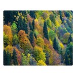 Forest Trees Leaves Fall Autumn Nature Sunshine Two Sides Premium Plush Fleece Blanket (Large) 80 x60  Blanket Front