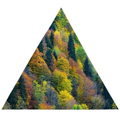 Forest Trees Leaves Fall Autumn Nature Sunshine Wooden Puzzle Triangle by Ravend