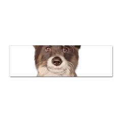 Watercolor Dog Sticker Bumper (10 Pack)