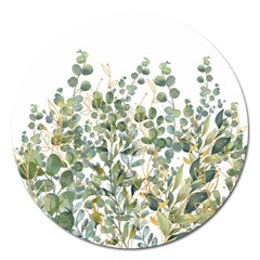 Gold And Green Eucalyptus Leaves Magnet 5  (round) by Jack14