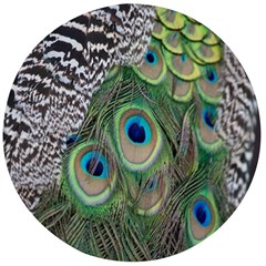 Peacock Bird Feather Colourful Wooden Bottle Opener (round)