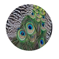 Peacock Bird Feather Colourful Mini Round Pill Box (pack Of 5)