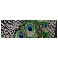 Peacock Bird Feather Colourful Banner And Sign 12  X 4  by Jancukart