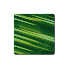 Green-01 Square Magnet