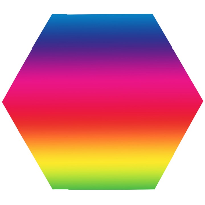 Spectrum Wooden Puzzle Hexagon