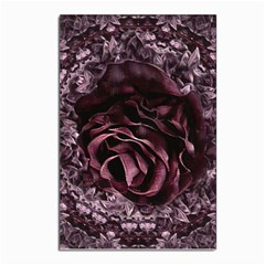 Rose Mandala Postcards 5  x 7  (Pkg of 10)