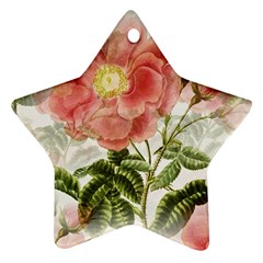 Flowers-102 Ornament (star) by nateshop