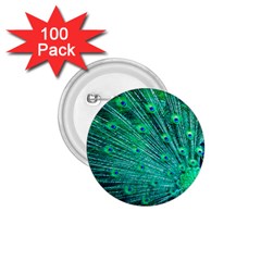 Green And Blue Peafowl Peacock Animal Color Brightly Colored 1 75  Buttons (100 Pack)  by Semog4