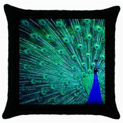 Green And Blue Peafowl Peacock Animal Color Brightly Colored Throw Pillow Case (black) by Semog4