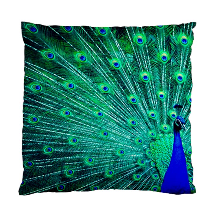 Green And Blue Peafowl Peacock Animal Color Brightly Colored Standard Cushion Case (Two Sides)
