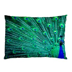 Green And Blue Peafowl Peacock Animal Color Brightly Colored Pillow Case by Semog4