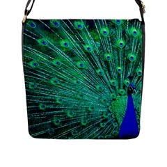 Green And Blue Peafowl Peacock Animal Color Brightly Colored Flap Closure Messenger Bag (l) by Semog4