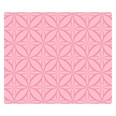 Pink-75 Premium Plush Fleece Blanket (small)