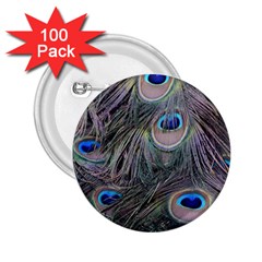 Peacock Feathers Peacock Bird Feathers 2 25  Buttons (100 Pack)  by Jancukart