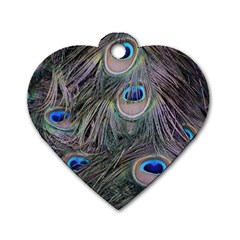 Peacock Feathers Peacock Bird Feathers Dog Tag Heart (two Sides) by Jancukart