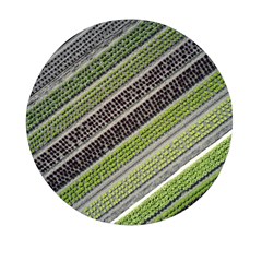 Field Agriculture Farm Stripes Diagonal Mini Round Pill Box (pack Of 5)