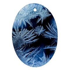 Pattern Frosty Frost Glass Ornament (oval)