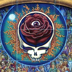 Grateful Dead Skull Rose Play Mat (rectangle) by Semog4