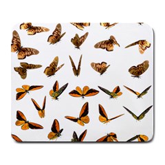 Butterfly Butterflies Insect Swarm Large Mousepad by Salman4z