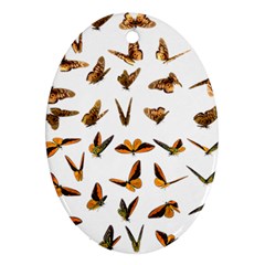 Butterfly Butterflies Insect Swarm Oval Ornament (two Sides)