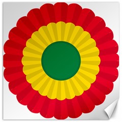 National Cockade Of Bolivia Canvas 20  X 20  by abbeyz71