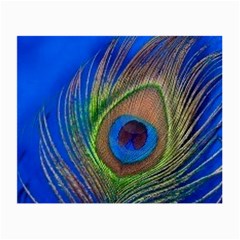 Blue Peacock Feather Small Glasses Cloth (2 Sides) by Amaryn4rt