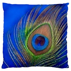 Blue Peacock Feather Large Cushion Case (one Side) by Amaryn4rt