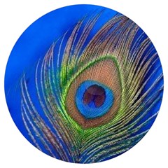 Blue Peacock Feather Round Trivet by Amaryn4rt