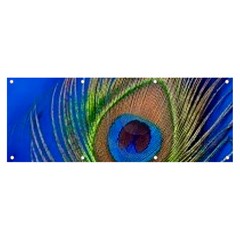 Blue Peacock Feather Banner And Sign 8  X 3  by Amaryn4rt