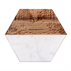 River Forest Landscape Nature Marble Wood Coaster (hexagon) 