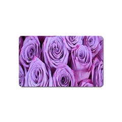 Roses-52 Magnet (name Card) by nateshop