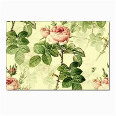 Roses-59 Postcards 5  X 7  (pkg Of 10) by nateshop