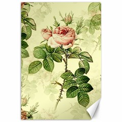 Roses-59 Canvas 12  X 18  by nateshop