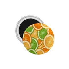 Fruits-orange 1 75  Magnets by nateshop