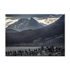 Nature s Symphony: A Portrait Of Ushuaia s Wild Beauty  Sticker A4 (10 Pack) by dflcprintsclothing