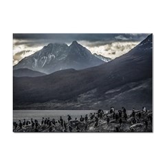 Nature s Symphony: A Portrait Of Ushuaia s Wild Beauty  Sticker A4 (100 Pack) by dflcprintsclothing