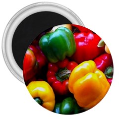 Colorful Capsicum 3  Magnets by Sparkle